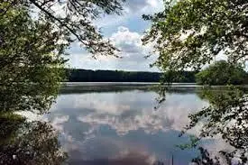 Etang de la Chelouze